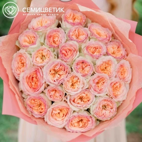 Букет из 25 персиковых пионовидных роз Flash Back 40 см в розовой пленке
