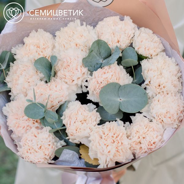 Букет из 15 кремовых гвоздик с эвкалиптом