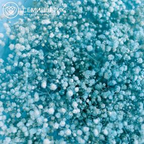 Букет из 15 голубых гипсофил