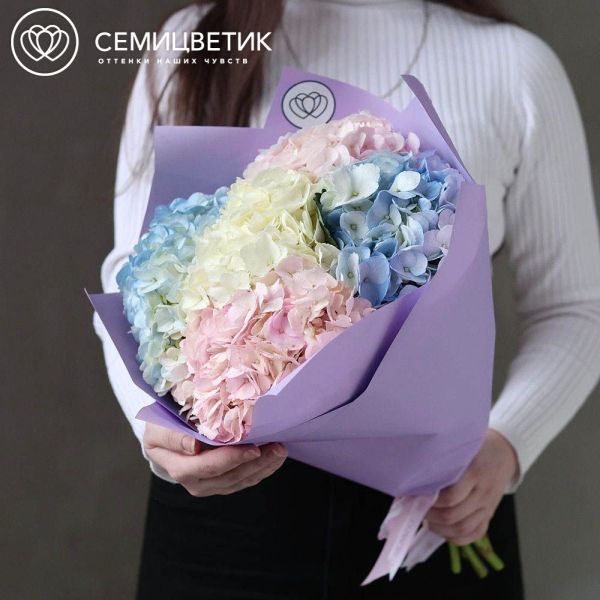 Букет из 5 гортензий нежный микс