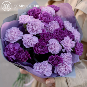 Букет из 25 сиреневых (лунных) и фиолетовых гвоздик в голубой пленке