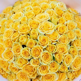 Букет из 101 желтой розы 35-40 см (Россия) в розовой пленке