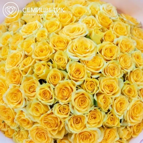 Букет из 101 желтой розы 35-40 см (Россия) в розовой пленке