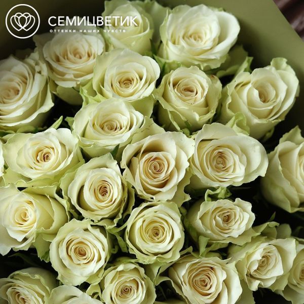 Букет из 25 белых роз 40 см (Кения) в оливковой пленке