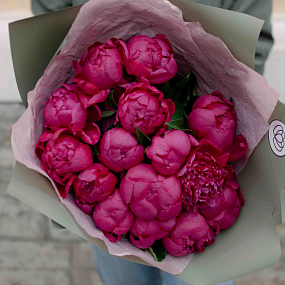 Букет из 15 ярко-розовых пионов Standart Plus в зеленой пленке