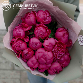 Букет из 15 ярко-розовых пионов Standart Plus в зеленой пленке