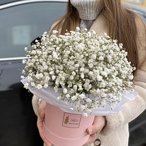 Коробочка с гипсофилой