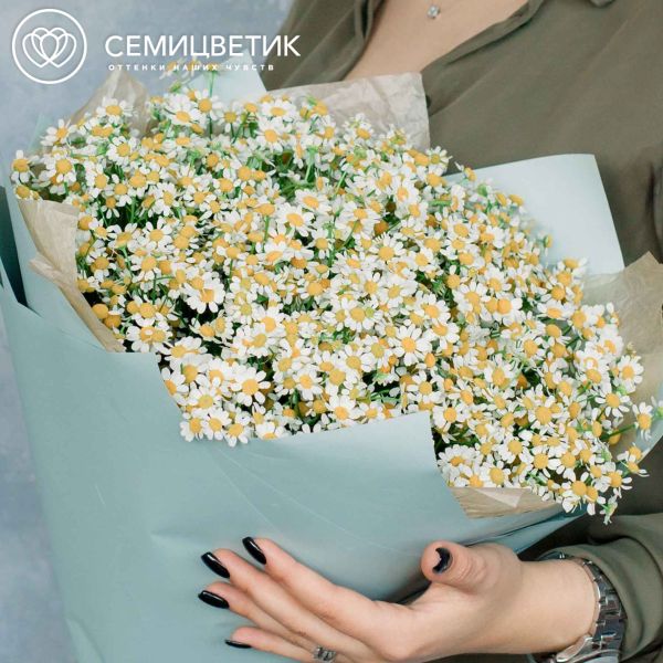 Букет из 51 матрикарии (ромашки)