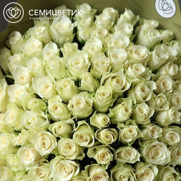 Букет из 101 белой розы 40 см (Кения) в оливковой пленке