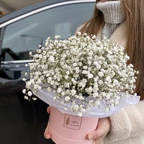 Коробочка с гипсофилой