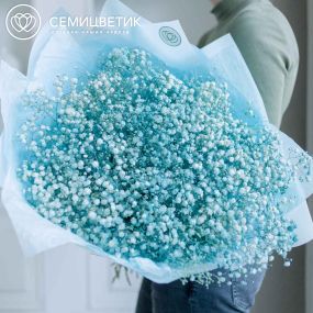 Букет из 15 голубых гипсофил