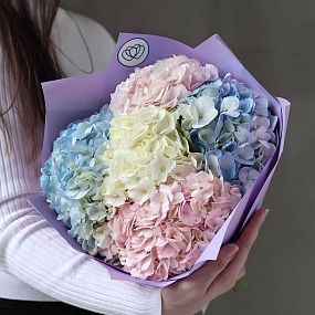 Букет на годовщину свадьбы  из 5 гортензий нежный микс