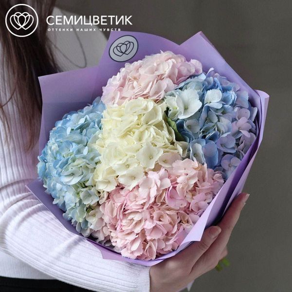 Букет из 5 гортензий нежный микс