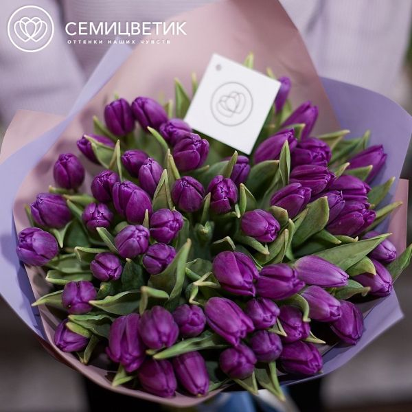 Букет из 51 фиолетового тюльпана