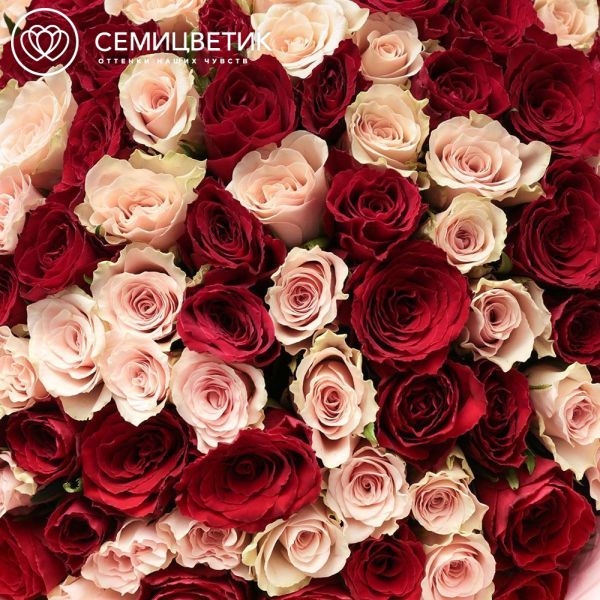 Букет из 101 красной и нежно-розовой розы 30 см (Кения)